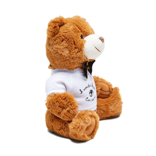 Teddy Bear with T-Shirt - "I Wonder If You Can See Me"